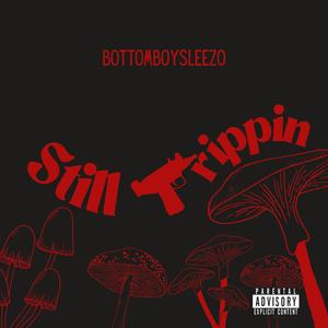 Still Trippin (Explicit)