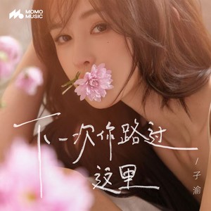 下一次你路过这里 (和声伴奏)