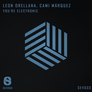 You're Electronic (Original Mix)