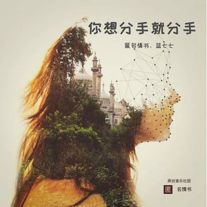 匿名情书 - 你想分手就分手