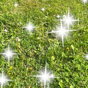 puppies make me cry (Explicit)