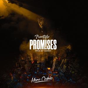 PROMISES (Explicit)