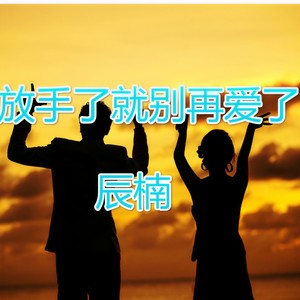 放手了就别在爱了