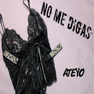 NO ME DIGAS (Explicit)