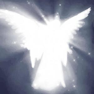 No Longer Interested