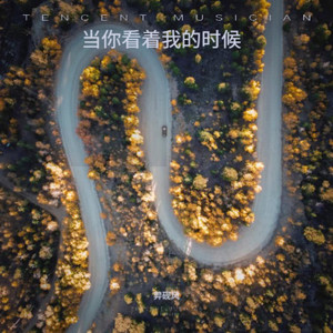 当你和心跳一起出现封面