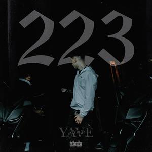 223 (Explicit)