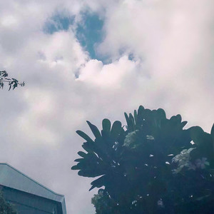 安和桥 (翻自 群星)