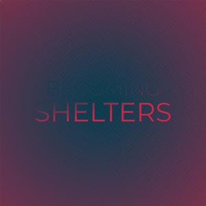 Becoming Shelters