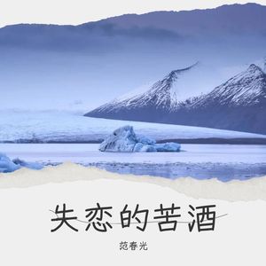 碎银几两换沧桑