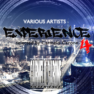 Experience, Vol. 4