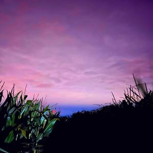 WHERE YO HEART AT ? (Explicit)