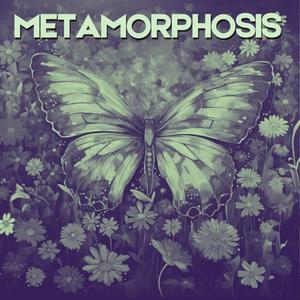 Metamorphosis (feat. Morpheus) [Explicit]