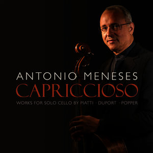 12 Caprices, Op. 25: No. 7 in C Major - Maestoso