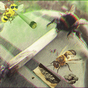 Bee Smoking a Joint Song