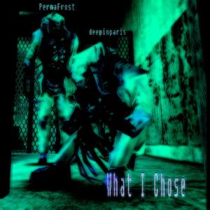 What I Chose (Explicit)