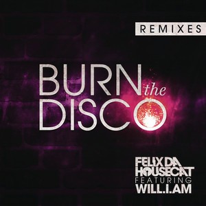 Burn the Disco (Fareoh's Acid Remix)