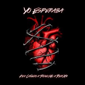 Yo Esperaba (feat. Tadeo Mc & Reff XM)