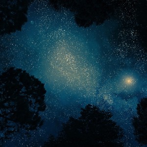Moonfeather