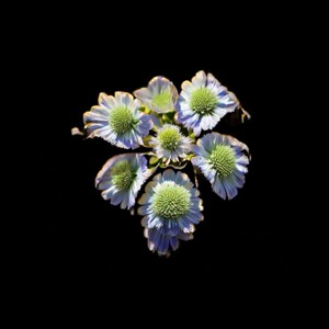 Three Some (Explicit)