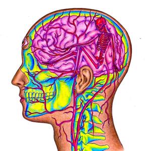 Crashed It!(feat. Rell the Remedy, mars2cold & Devyn) (Explicit)