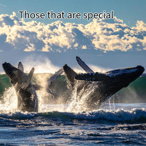 Those that are special