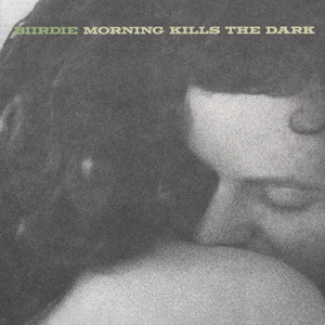 Morning Kills the Dark