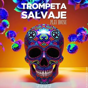 Trompeta Salvaje