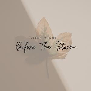 Before The Storm