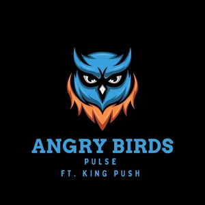 Angry Birds (feat. King Push) (Explicit)