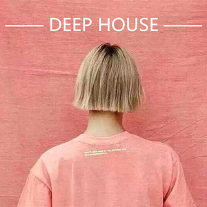 车载专用 高端深度Deep House