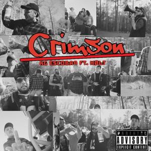 Crimson (feat. Hølt) (Radio Edit)