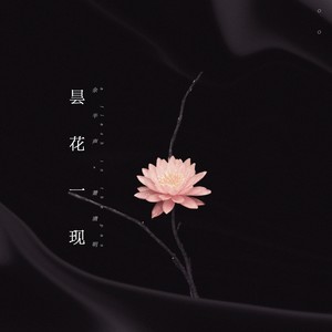 昙花一现雨及时封面