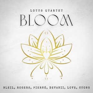 Prized Possessions: II. Beggar's Lace