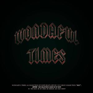 WONDAFUL TIMES (Explicit)