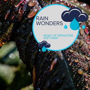 Rain Wonders - Music of Sprouting Soft Rain