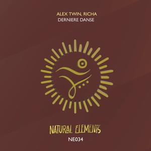 Derniere Danse (Extended Mix)