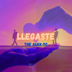 Llegaste