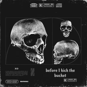 before I kick the bucket (Explicit)