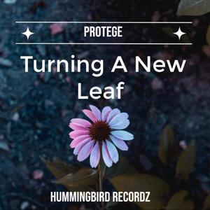 Turning A New Leaf