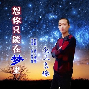 想你只能在梦里 (舞曲版)