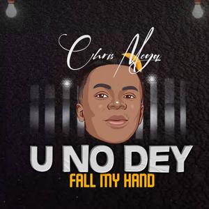 You No Dey Fall My Hand