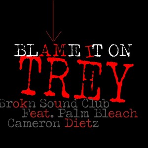 Blame It on Trey (Explicit)