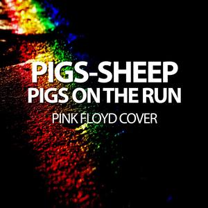 Pigs - Sheep - Pigs on the Run - Pink Floyd Cover