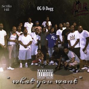 What You Want (Explicit)
