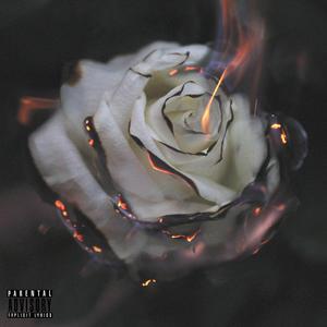 My Favorite Girl (Explicit)