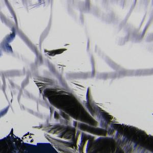 Wet Freestyle (Explicit)