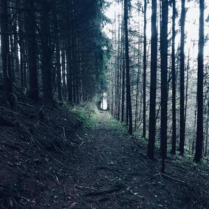 Metacognition (feat. Jess Pregizer)