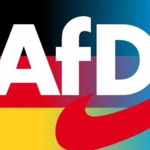 Deutschland hat die Schnauze voll (Explicit)