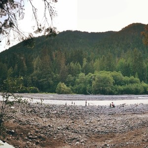 Whatever Wants to Put a Light On Me